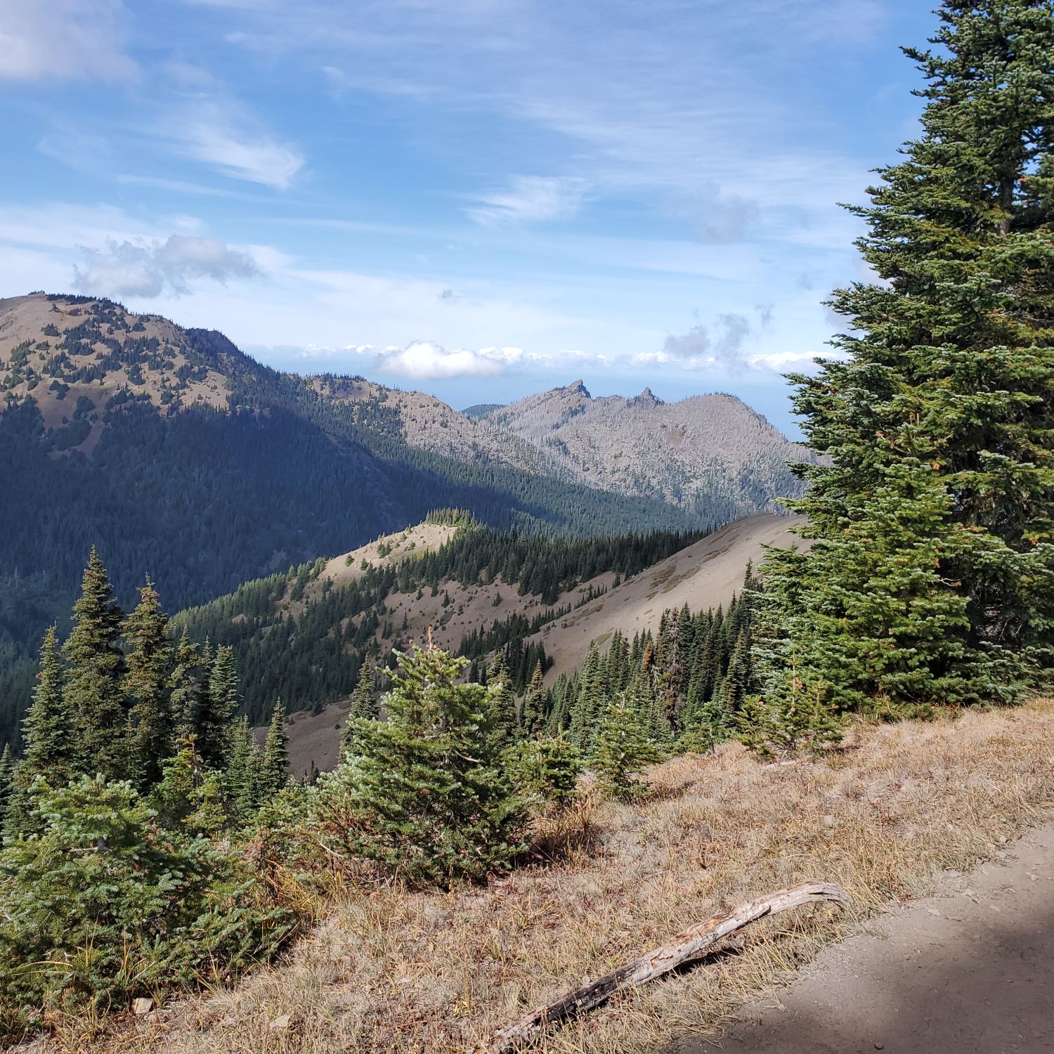 Olympic NP 